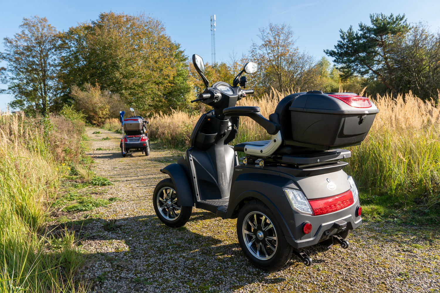 Vilken promenadskoter är bäst för dig? Här är allt du behöver veta